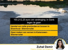 165000 euro Vlaamse subsidies om verdroging in Genk tegen te gaan