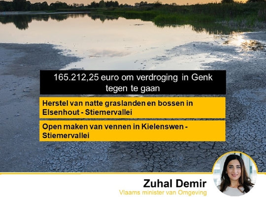 165000 euro Vlaamse subsidies om verdroging in Genk tegen te gaan 165000 euro Vlaamse subsidies om verdroging in Genk tegen te gaan